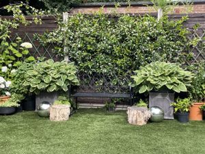 Photo 21- click for photo gallery